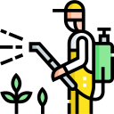 Servicios Complementarios